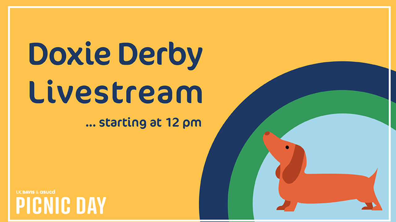 Doxie Derby Livestream One Aggie Network